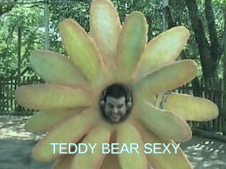 TEDDY_BEAR_SEXY