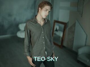 TEO_SKY