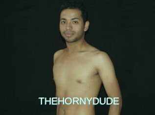 THEHORNYDUDE