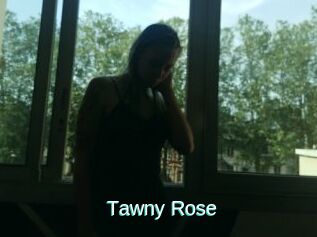 Tawny_Rose