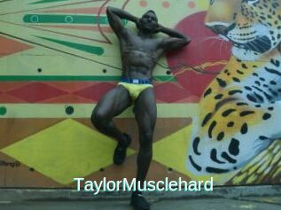 TaylorMusclehard