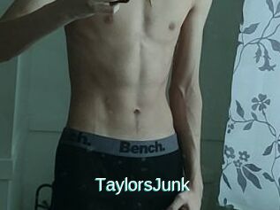TaylorsJunk