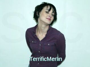 TerrificMerlin