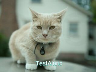 TestAlaric
