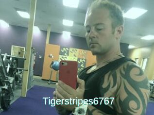 Tigerstripes6767