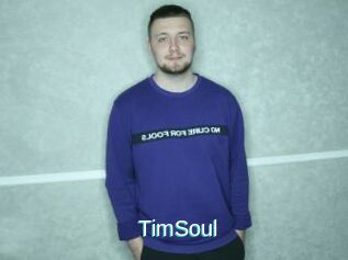 TimSoul