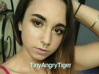 TinyAngryTiger