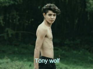 Tony_wolf