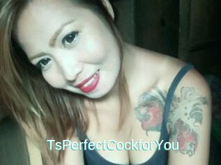 TsPerfectCockforYou