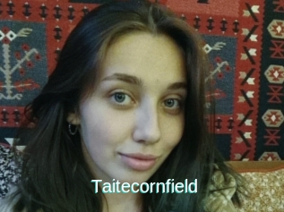 Taitecornfield