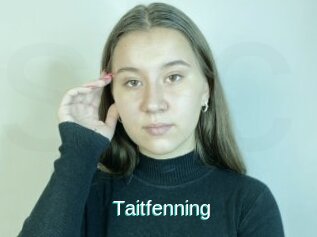 Taitfenning