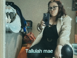 Tallulah_mae
