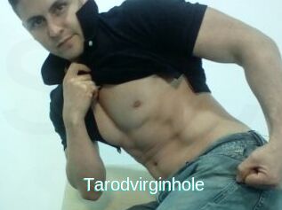Tarodvirginhole