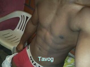 Tavog