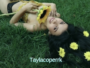 Taylacoperrk