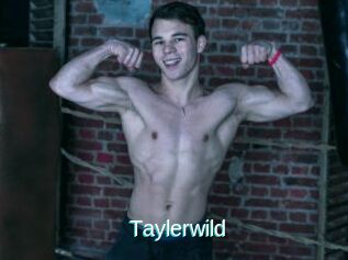 Taylerwild