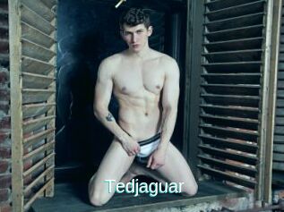 Tedjaguar