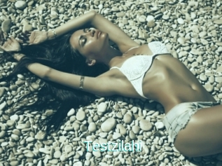 Testzilahi