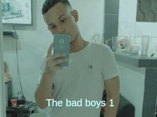 The_bad_boys_1