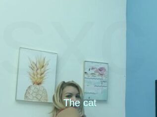 The_cat