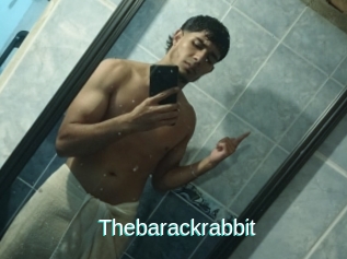 Thebarackrabbit