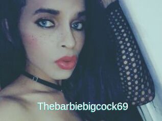 Thebarbiebigcock69