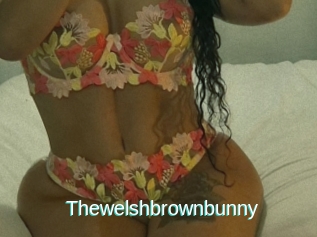 Thewelshbrownbunny