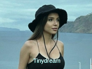 Tinydream