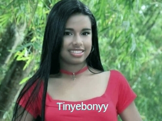 Tinyebonyy