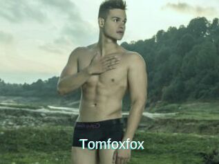 Tomfoxfox