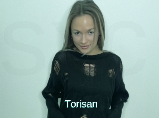 Torisan