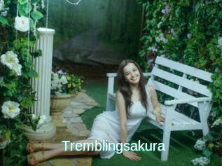 Tremblingsakura