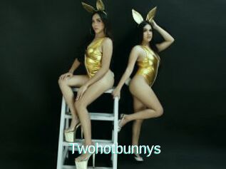 Twohotbunnys