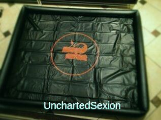 UnchartedSexion