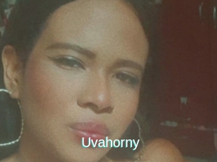 Uvahorny