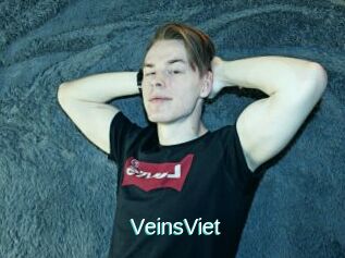 VeinsViet