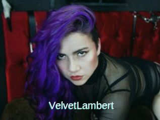 VelvetLambert