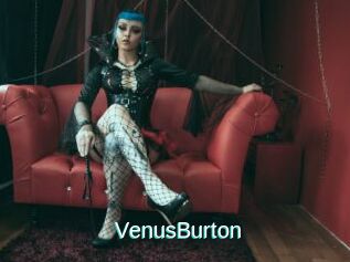 VenusBurton