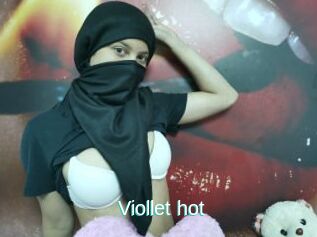 Viollet_hot