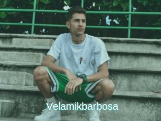 Velamikbarbosa
