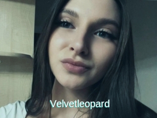 Velvetleopard