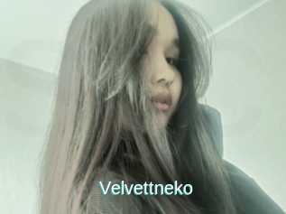 Velvettneko