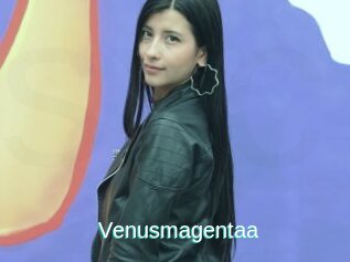 Venusmagentaa