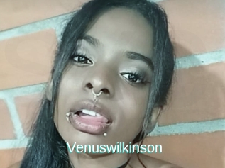 Venuswilkinson