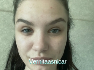 Vernitaasnicar