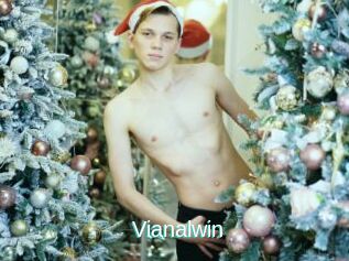Vianalwin