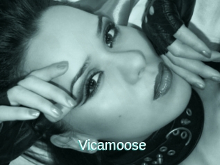 Vicamoose