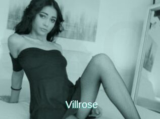 Villrose