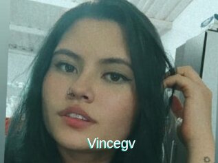 Vincegv