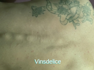Vinsdelice